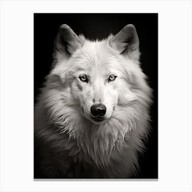 Tundra Wolf Portrait Black And White 2 Canvas Print