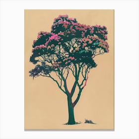 Mahogany Tree Colourful Illustration 1 Canvas Print