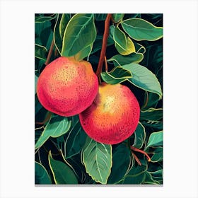 Peach Tree 1 Canvas Print