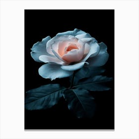 Rose On A Black Background 19 Canvas Print