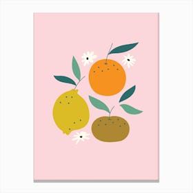 Triple Fruit Canvas Print