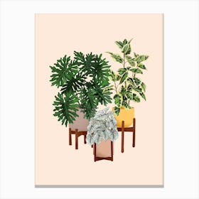 House Plants 16 Canvas Print