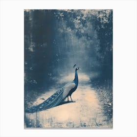 Peacock In The Wild Blue Cyanotype 4 Canvas Print