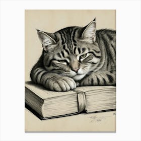 Cat Resting On Book Canvas Print