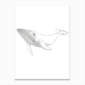 The Whale Canvas Print