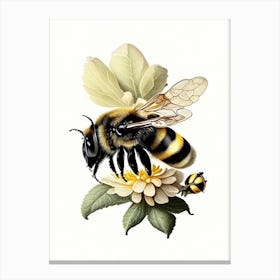 Bumblebee 2 Vintage Canvas Print