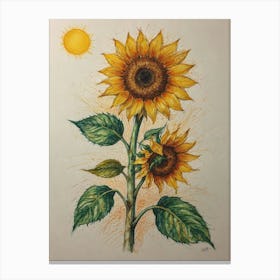 Sunflowers 13 Canvas Print