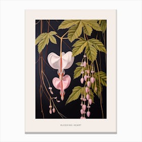 Flower Illustration Bleeding Heart Flower 1 Poster Canvas Print