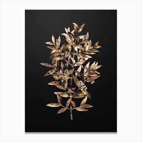 Gold Botanical Phillyrea Tree Branch on Wrought Iron Black n.4478 Canvas Print