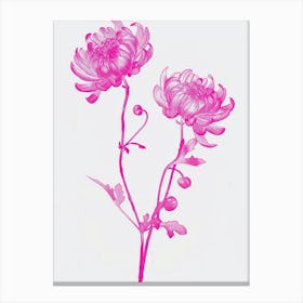 Hot Pink Chrysanthemum 2 Canvas Print