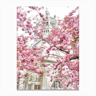 London Museum Blossom Canvas Print
