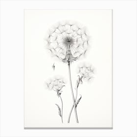 Dandelions Flower Vintage Botanical 0 Canvas Print