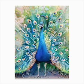 Peacock Colourful Watercolour 4 Canvas Print