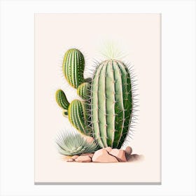 Echinocereus Cactus Marker Art 2 Canvas Print
