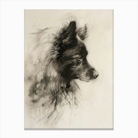 Icelandic Sheepdog Dog Charcoal Line 3 Canvas Print