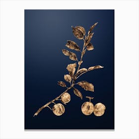 Gold Botanical Apricot on Midnight Navy n.2082 Canvas Print