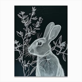 Blanc De Hotot Rabbit Minimalist Illustration 2 Canvas Print