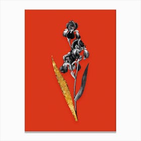 Vintage Dalmatian Iris Black and White Gold Leaf Floral Art on Tomato Red n.0253 Canvas Print