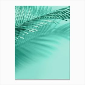 Palm Leaf On Turquoise Background Canvas Print