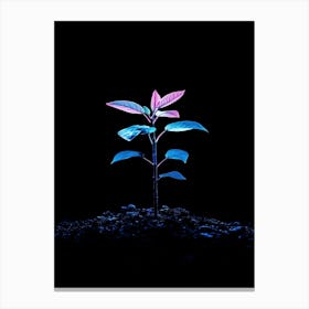 Plant Growing On Black Background 1 Toile