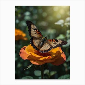 Butterfly On A Rose 1 Canvas Print