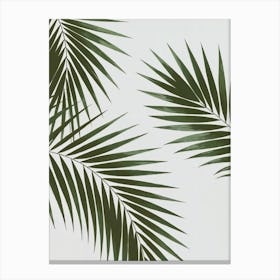 Tropical Canvas Art: Lush green palm leaves overlapping , showcasing vibrant natural tones. Perfect for modern minimalist and tropical decor lovers. Canvas Print