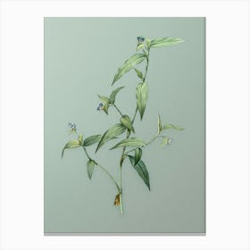 Vintage Tagblume Botanical Art on Mint Green n.0385 Canvas Print
