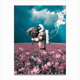 Pink Flowers In The Field Canvas Print