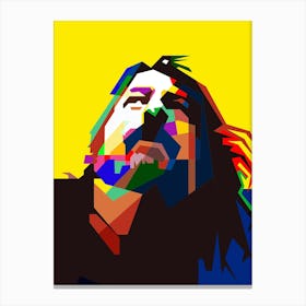 Dave Grohl Foo Fighters Grunge Sound Canvas Print