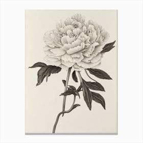 Peony Vintage Botanical Flower Canvas Print