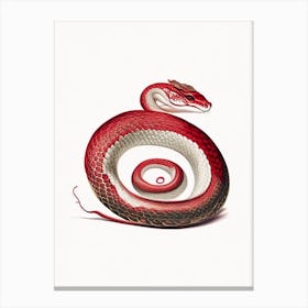 Scarlet Snake Vintage Canvas Print