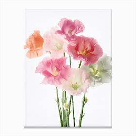 Gladioli Flowers Acrylic Painting In Pastel Colours 8 Canvas Print