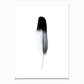 Black And White Feather Spirit Canvas Print