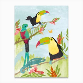 Tucans And Quetzal In Jungle Canvas Print