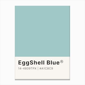 Eggshell Blue Canvas Print