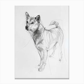Shiba Inu Dog Charcoal Line 1 Canvas Print