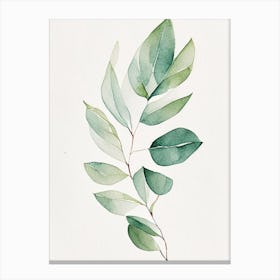 Myrtle Leaf Minimalist Watercolour Canvas Print