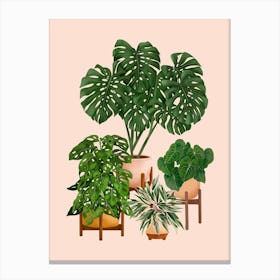 Indoor Plants 5 Canvas Print
