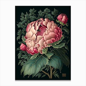 Karl Rosenfield Peonies Single Vintage Botanical Canvas Print