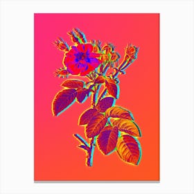 Neon Harsh Downy Rose Botanical in Hot Pink and Electric Blue n.0360 Canvas Print