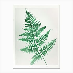 Green Ink Painting Of A Hares Foot Fern 1 Canvas Print