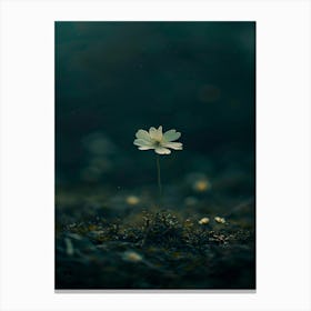 Single Flower 39 Canvas Print