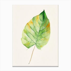 Papaya Leaf Minimalist Watercolour Canvas Print