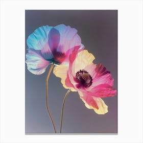 Iridescent Flower Poppy 3 Canvas Print