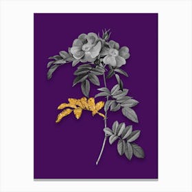 Vintage Shining Rosa Lucida Black and White Gold Leaf Floral Art on Deep Violet n.0445 Canvas Print