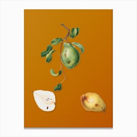 Vintage Pear Botanical on Sunset Orange n.0460 Canvas Print