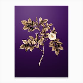 Gold Botanical Mountain Rose Bloom on Royal Purple n.3663 Canvas Print