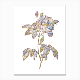 Stained Glass French Rosebush with Variegated Flowers Mosaic Botanical Illustration on White n.0267 Canvas Print