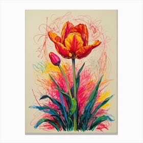 Tulip Canvas Print