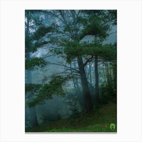 Misty Forest 20191019 20pub Canvas Print